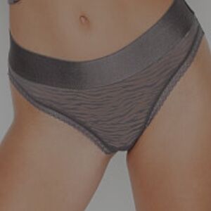NWT VS Bundle Lace High Leg Panty Sz L